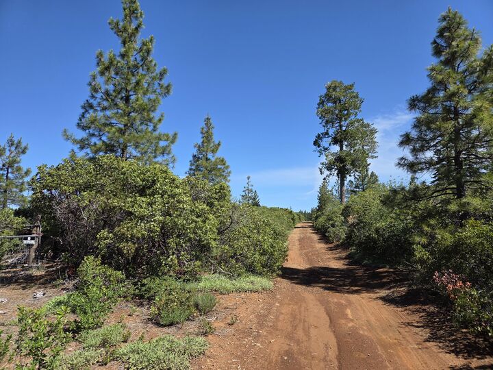 Property Photo:  Lot 2 Eleanor Way  CA 96088 
