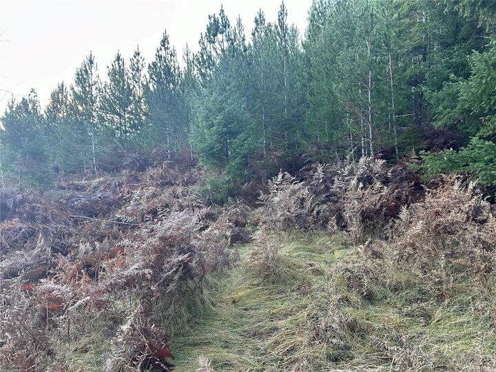 Property Photo:  606 Scout Lake Rd  BC V0P 1G0 