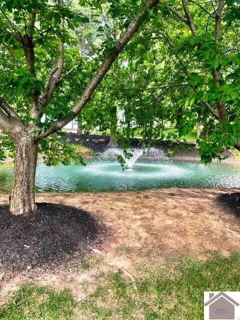 Property Photo: 220 Falling Brook Dr KY 42003
