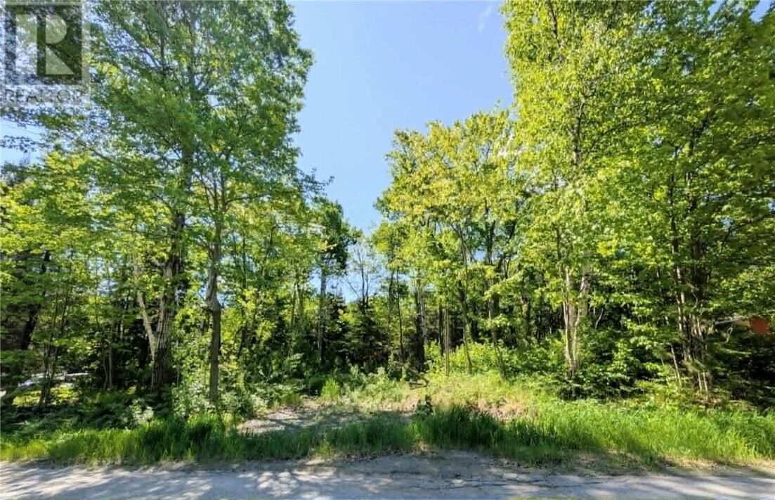 Photo de la propriété:  31 Eldon  ON P0M 3E0 