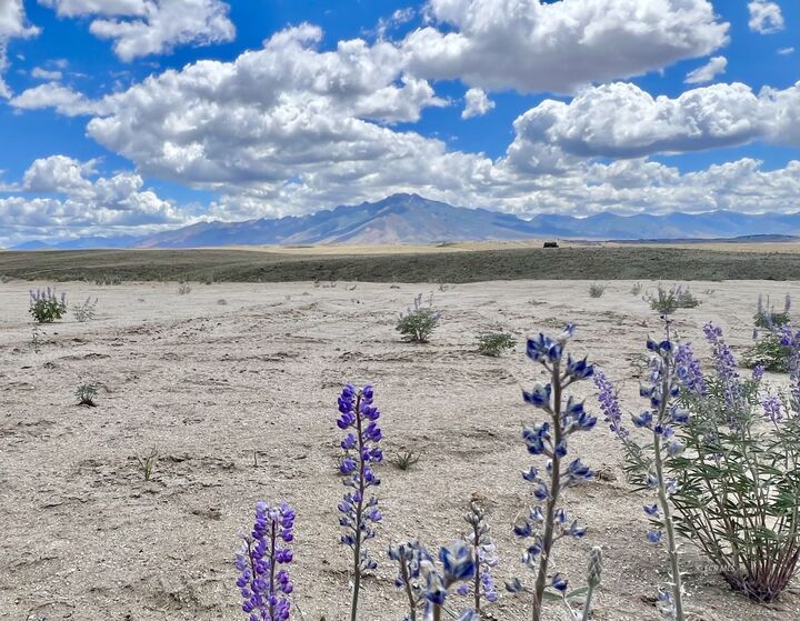 Property Photo:  Lot B1 Crest Drive  NV 89815 