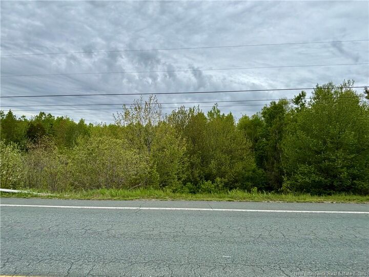 16.3 Acres Route 160 — photo 1