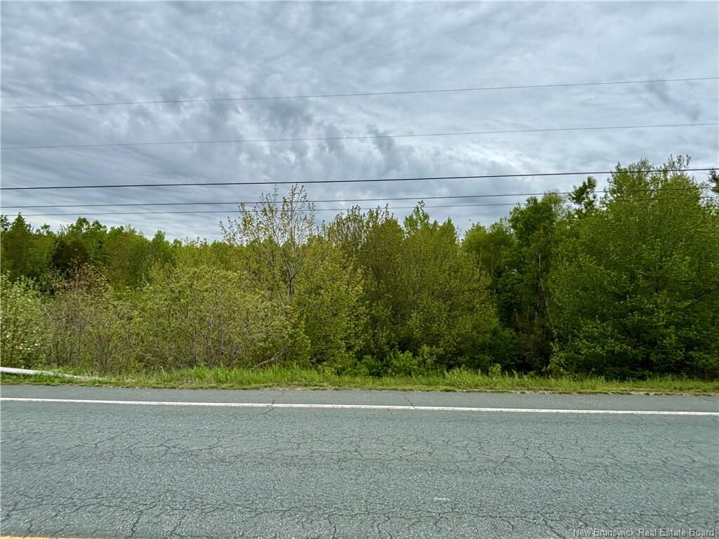 Property Photo:  16.3 Acres Route 160  NB E8M 1A9 