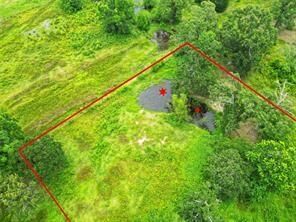 Property Photo: 254 County Road 312 TX 77327