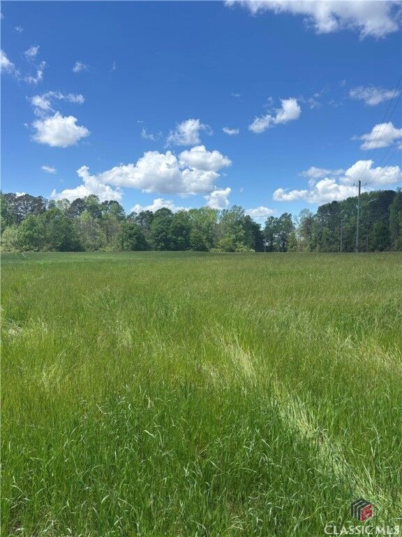 Property Photo: 360 Lakeview Drive GA 30683