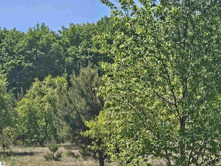 Property Photo:  V/L Parcel C SE Grass Lake Road  MI 49646 