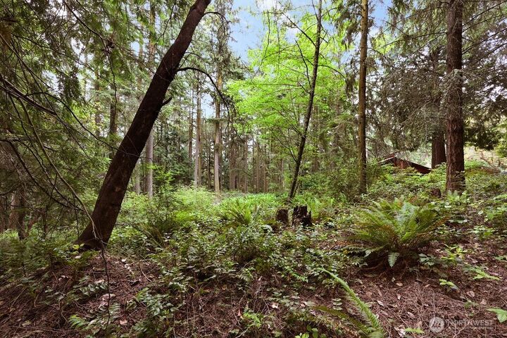 Property Photo:  241  Belvedere Drive  WA 98368 