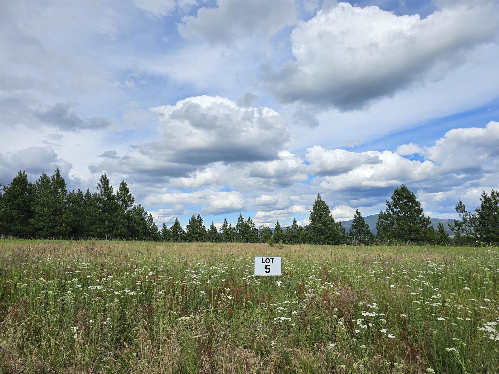 Property Photo: Nna S Sands Rd Lot 5 WA 99036