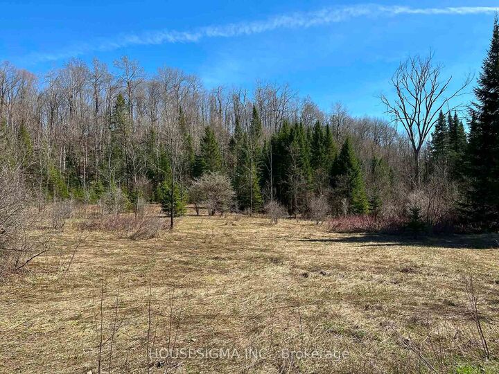 Property Photo:  Con 14 Pt Lot 17 Ward 01 Buller Road  ON K0M 2L0 