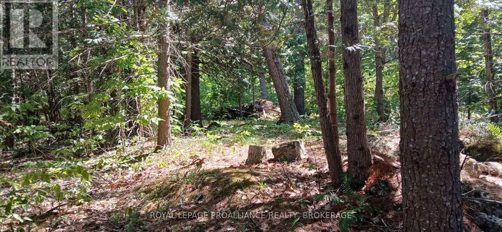 Property Photo: 1050 Lodge Lane ON K0G 1E0