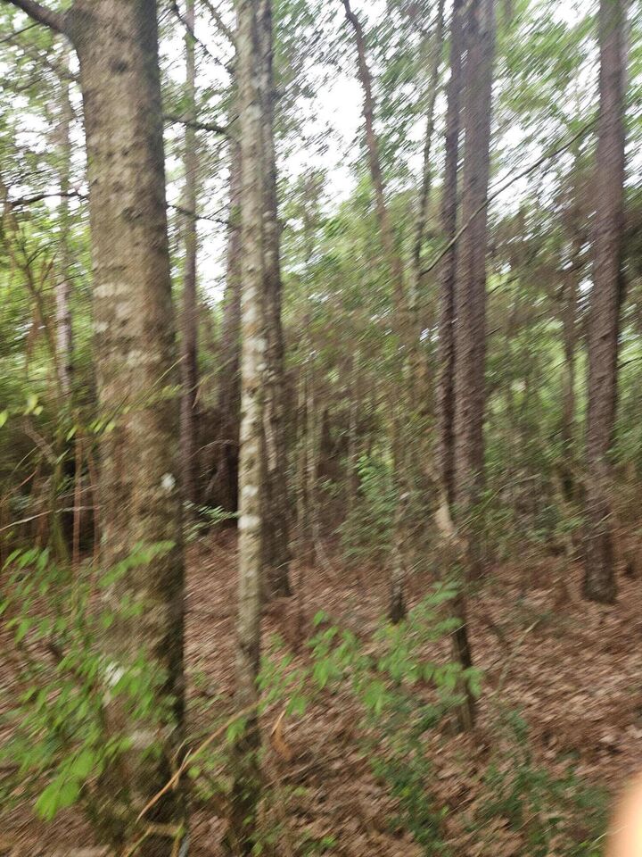 Property Photo: 1.12 Acres Possum Ridge Road FL 32539