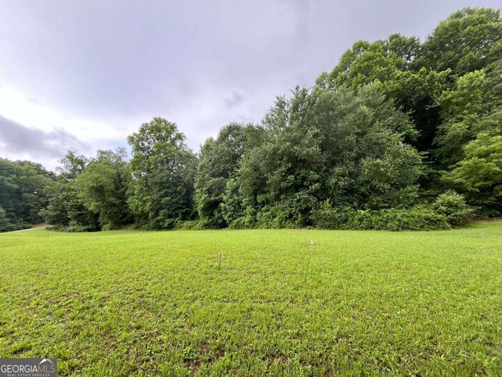 Property Photo:  Lot 117 Owen Glen Drive  GA 30512 