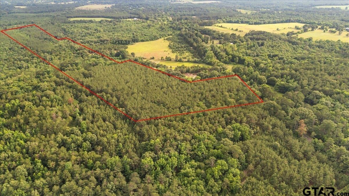 Property Photo: Tbd S Fm 225 TX 75667