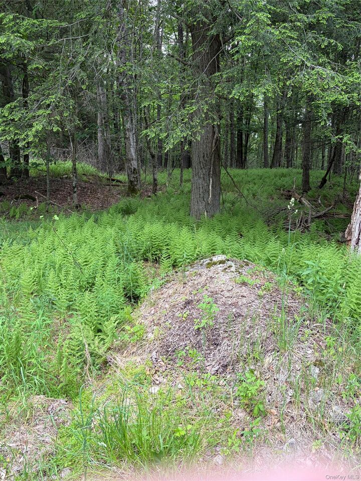 Property Photo: Creamery Creamery Road NY 12701