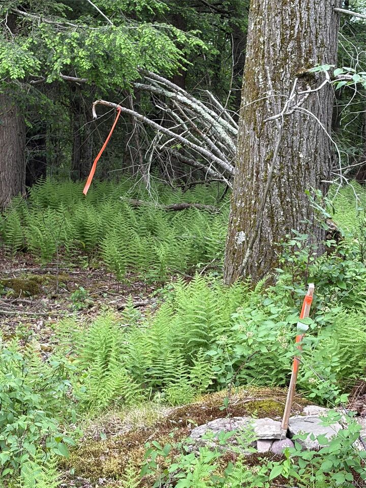 Property Photo:  Creamery Road  NY 12701 