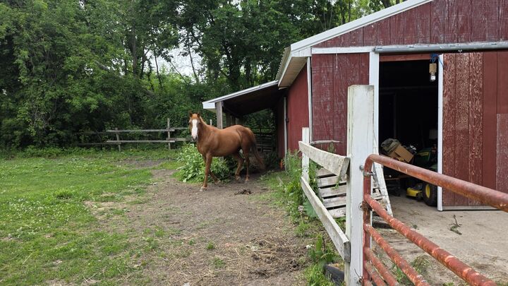 Property Photo:  17281 Ely Road  MI 48158 