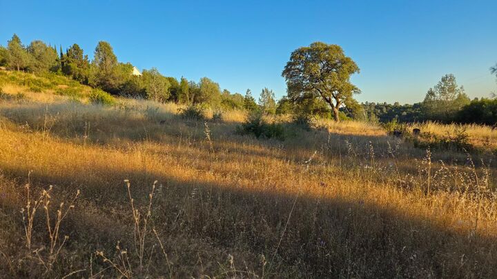 Property Photo:  10306 Canyon Creek Lane  CA 95946 