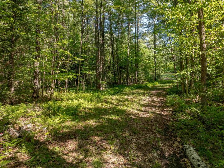Property Photo:  Lot 22 Rabbit Path Road  NH 03585 