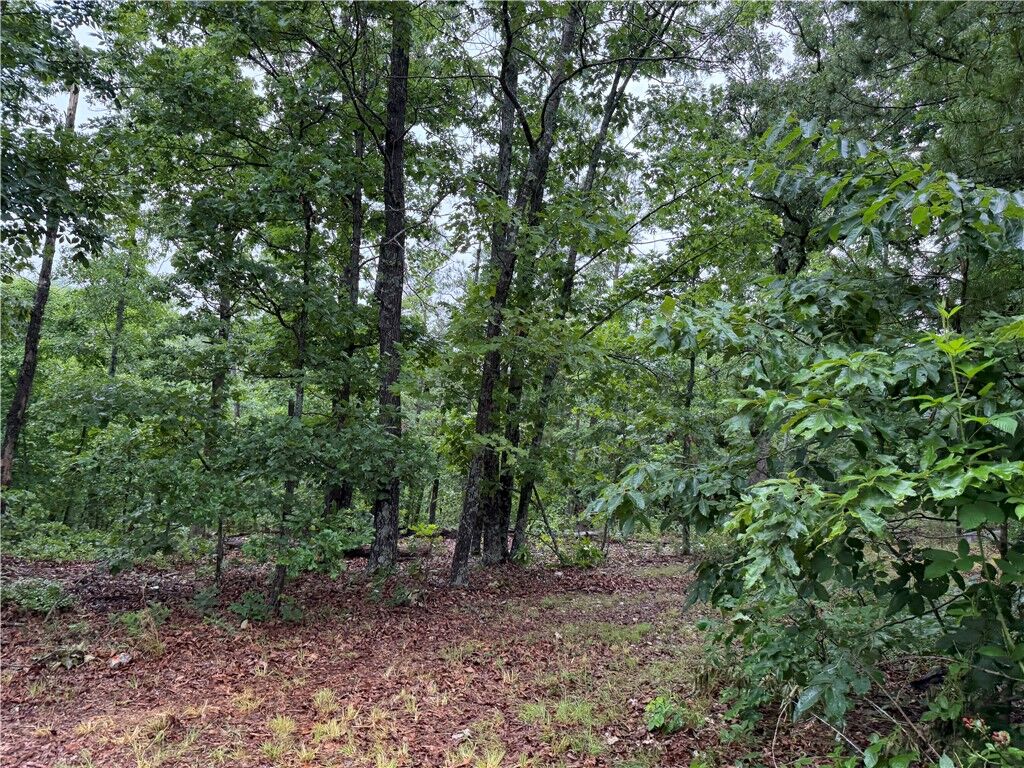Property Photo:  Off Of Morgan Cave Road  AR 72601 