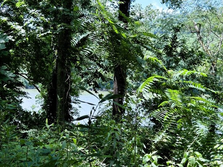 Property Photo:  622 Da Hu Road  AR 72556 