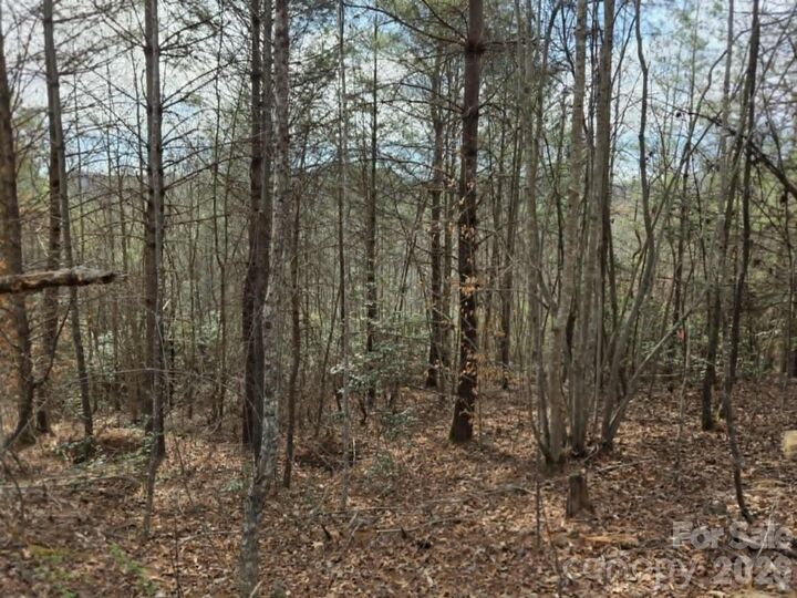 Property Photo:  Lot 4 Kerlee Lane  NC 28762 