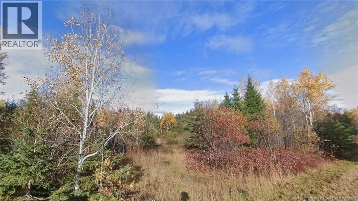Property Photo:  Lot Laurenzo Huard Street  NB E8B 1Y6 