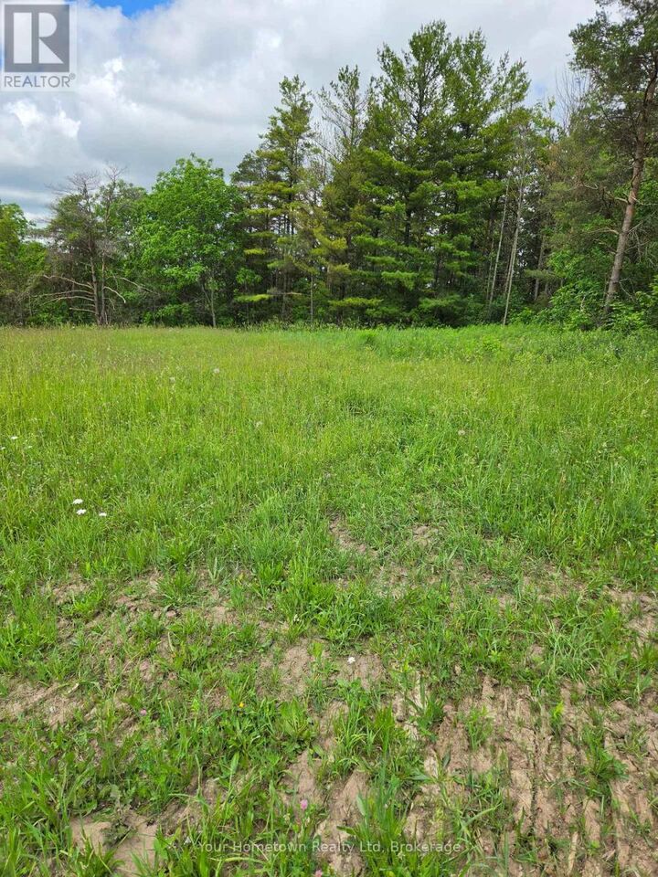 Property Photo:  675 Guelph Street  ON N1M 2V2 