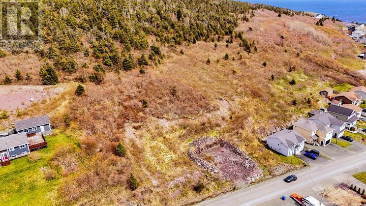 Property Photo:  162-164 Main Road Maddox Cove  NL A0A 3H0 