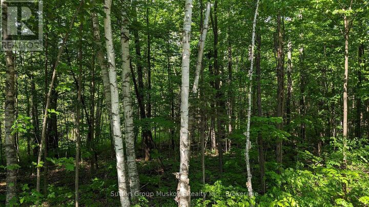 Property Photo:  Lot 1 Tally-Ho Winter Park Road  ON P1H 2E8 