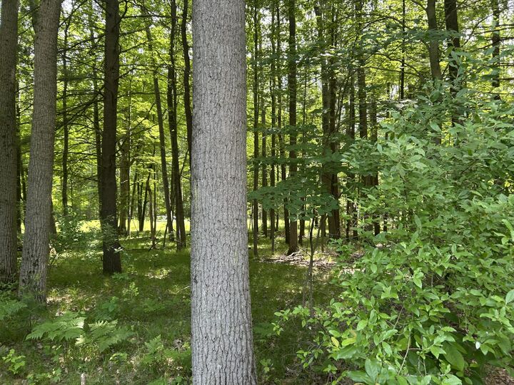 Property Photo:  11409 Heather Lane  MI 49346 