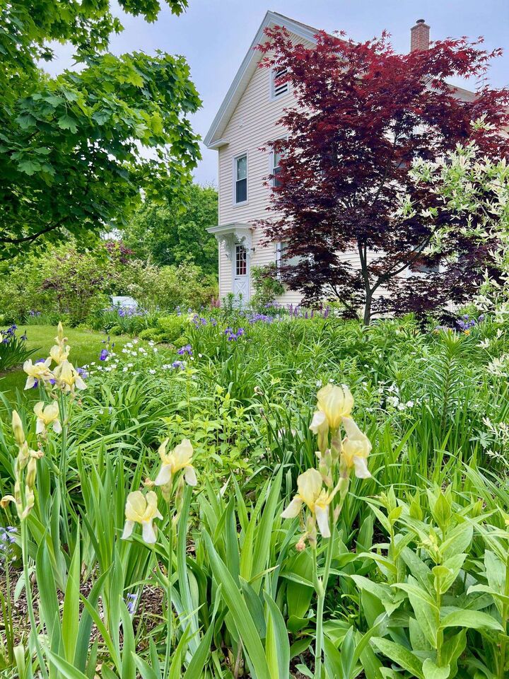 Property Photo: 29 Spaulding Street NH 03055
