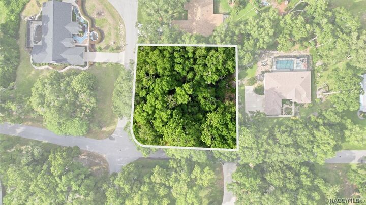Property Photo: Lot 3 SW 93rd Loop FL 34432