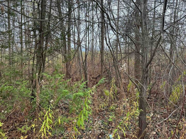 Property Photo:  0 Taylorwoods Boulevard  ON L9S 2E9 
