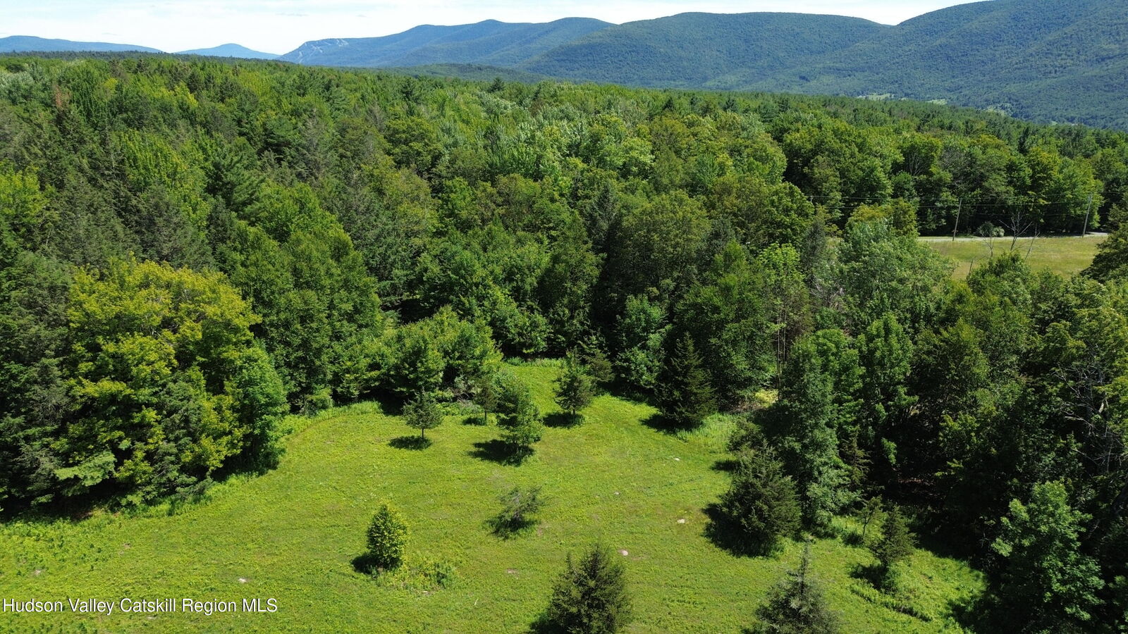 Property Photo:  0 Van Etten  NY 12452 