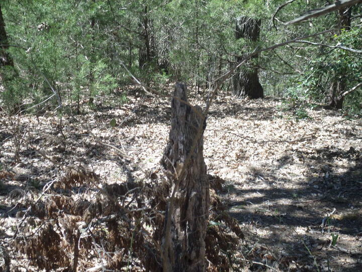 Property Photo: 273 Unit H Walter Hoffman Road TX 78612