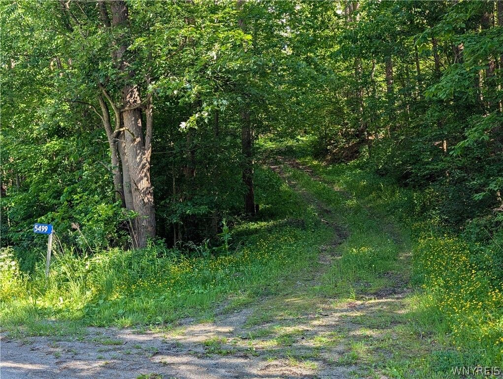 Property Photo: 5499 Bryant Hill Road NY 14731