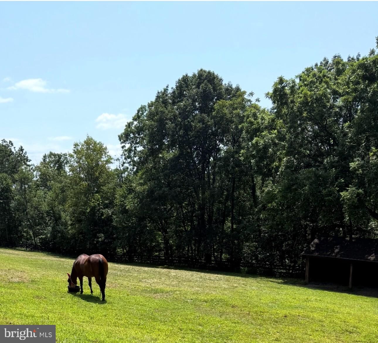 Property Photo:  5221 Mountain View Drive  VA 20137 