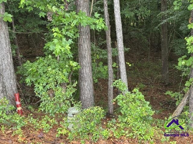 Property Photo:  172 Waters Pointe  GA 31052 