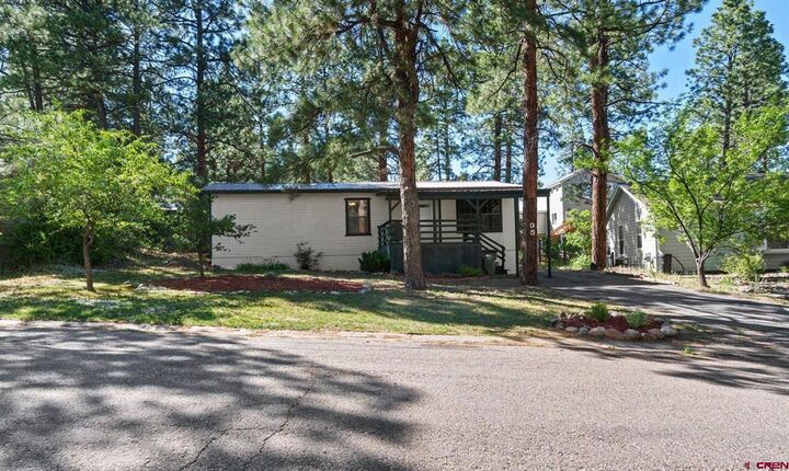 Property Photo:  95 Holly Hock Trail  CO 81301 
