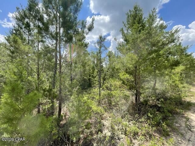 Property Photo:  000B NW Lake Lillian Avenue  FL 32438 