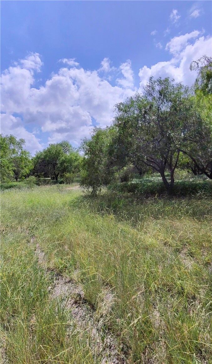 Property Photo: 14417 County Road 1478 TX 78370