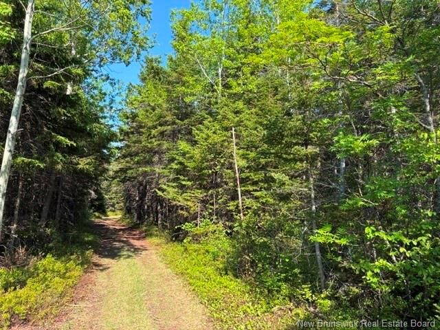 Property Photo:  305 Haut-Lameque  NB E8T 3M9 