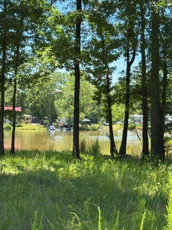 Property Photo: Lot 5 Nickles Cove AL 35959