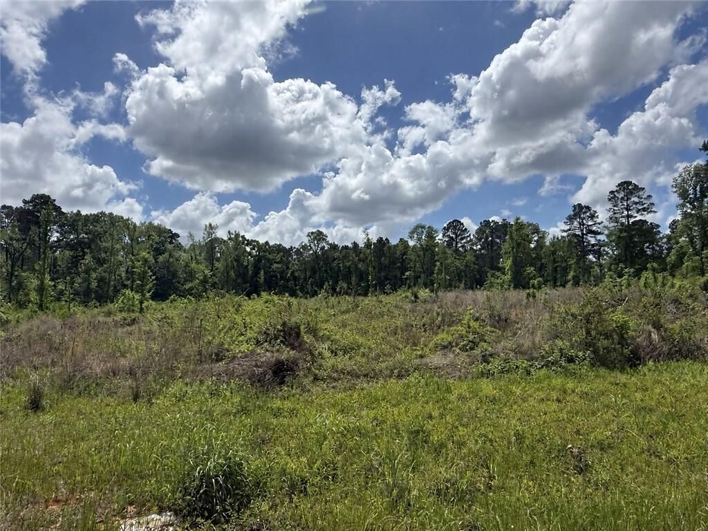 Property Photo: Tbd Newsome Road LA 71360