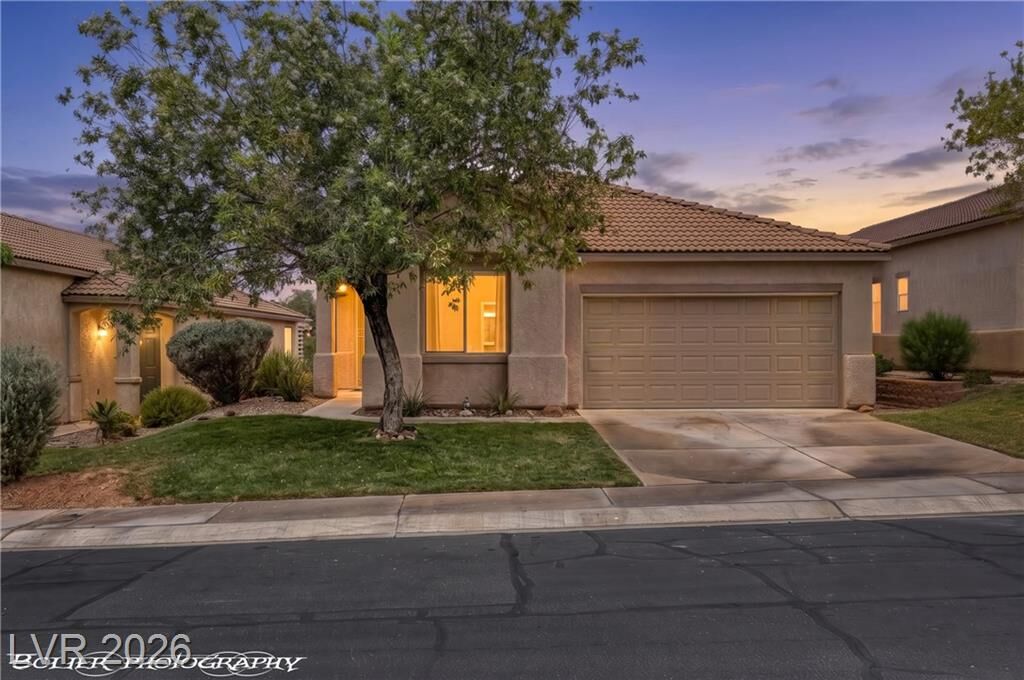 Property Photo:  471 Canyon View Way  NV 89027 