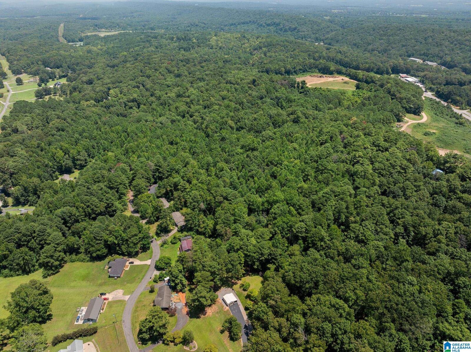 Property Photo: 0 Sunshine Avenue N/A AL 35121