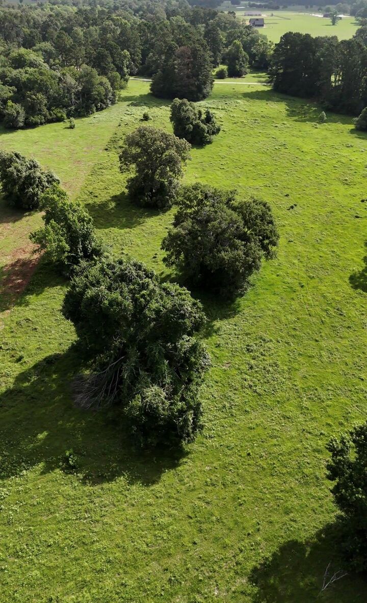 Property Photo:  873 Jones Road  TX 77358 