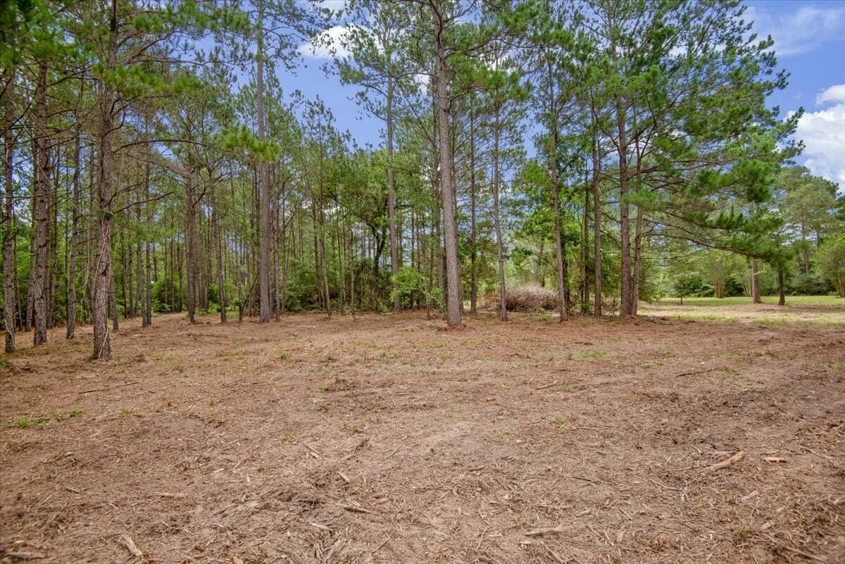 Property Photo: Tbd Lot 2 County Road 302 TX 77868
