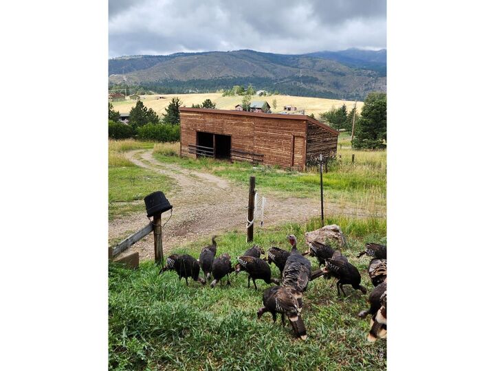 Property Photo:  678 Palisade Mountain Dr  CO 80515 
