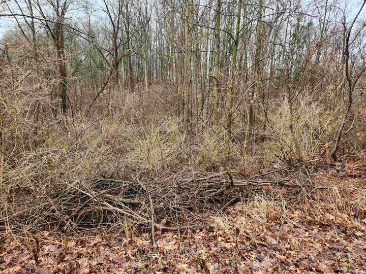 Property Photo:  Tbd E Koher Rd  #10  IN 46567 